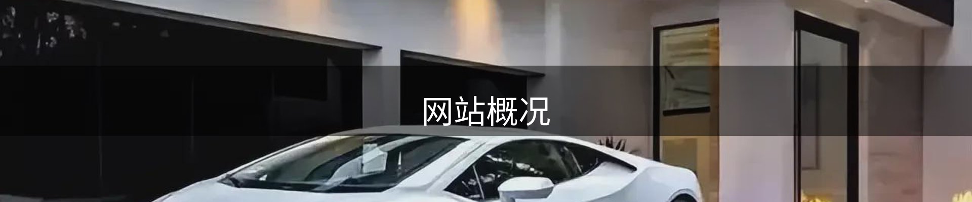 网站概况